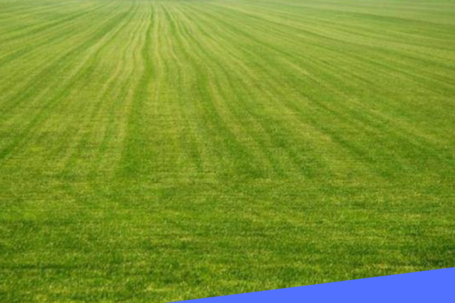 Purple and White Modern Tax Day Instagram post (1)